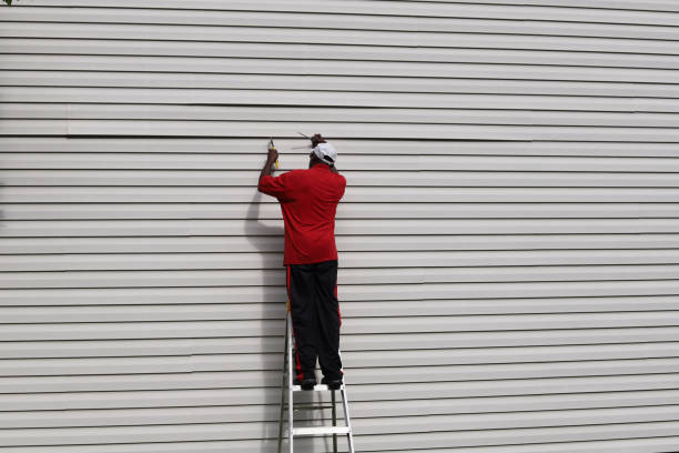 Best Siding Painting and Refinishing  in Johnsburg, IL